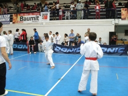 Anul 2010 - Cupa Romaniei Karate SKDUN