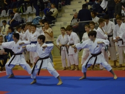 2016 &raquo; Anul 2016 - Campionatul National de Karate SKDUN -echipe