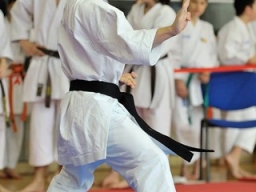 Anul 2016 - Campionatul national de Karate SKDUN