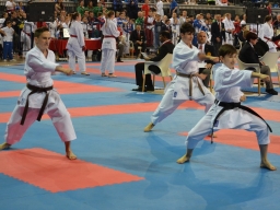 Anul 2017 - Campionatul European de karate WUKF