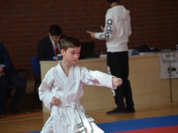 Anul 2017 - Campionatul National de Karate SKDUN
