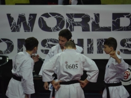 Anul 2017 - Campionatul Mondial de Karate UWK - Italia
