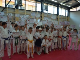 2017 &raquo; Anul 2017 - Absolvire Karate