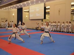 Transylvania WUKF Karate Cup – 15th European Champions Cup 2024