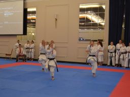Transylvania WUKF Karate Cup – 15th European Champions Cup 2024