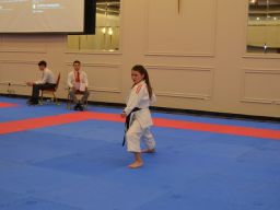 2024 &raquo; Anul - 2024 - Transylvania WUKF Karate Cup – 15th European Champions Cup 