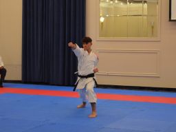 Transylvania WUKF Karate Cup – 15th European Champions Cup 2024