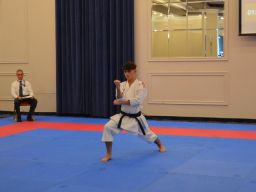 2024 &raquo; Anul - 2024 - Transylvania WUKF Karate Cup – 15th European Champions Cup 