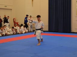 Transylvania WUKF Karate Cup – 15th European Champions Cup 2024