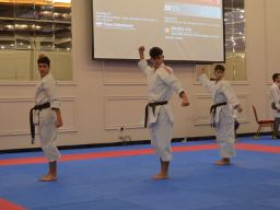 2024 &raquo; Anul - 2024 - Transylvania WUKF Karate Cup – 15th European Champions Cup 