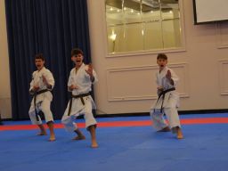 Transylvania WUKF Karate Cup – 15th European Champions Cup 2024