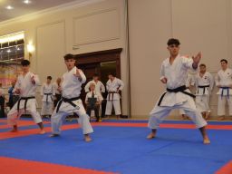 2024 &raquo; Anul - 2024 - Transylvania WUKF Karate Cup – 15th European Champions Cup 
