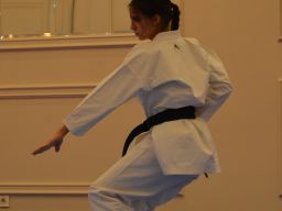2024 &raquo; Anul - 2024 - Transylvania WUKF Karate Cup – 15th European Champions Cup 