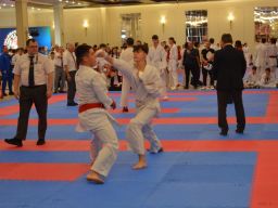Transylvania WUKF Karate Cup – 15th European Champions Cup 2024