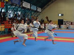 2025 &raquo; Anul 2025- Cupa Hara Karate WUKF 