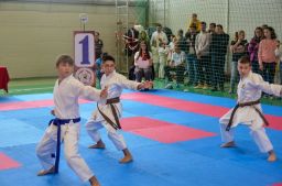 2025 &raquo; Anul 2025- Cupa Tricolorul Karate WUKF 