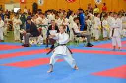 2025 &raquo; Anul 2025- Cupa Tricolorul Karate WUKF 