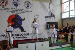 2025 &raquo; Anul 2025- Cupa Tricolorul Karate WUKF 