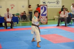 2025 &raquo; Anul 2025- Cupa Tricolorul Karate WUKF 