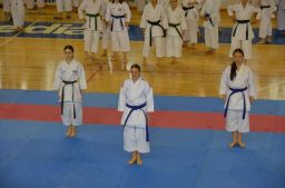 2025 &raquo; Anul - 2025 - Campionatul national Karate WUKF +13 ani