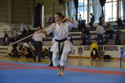 2025 &raquo; Anul - 2025 - Campionatul national Karate WUKF +13 ani